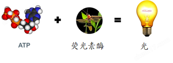 便携式ATP污泥活性快速检测仪