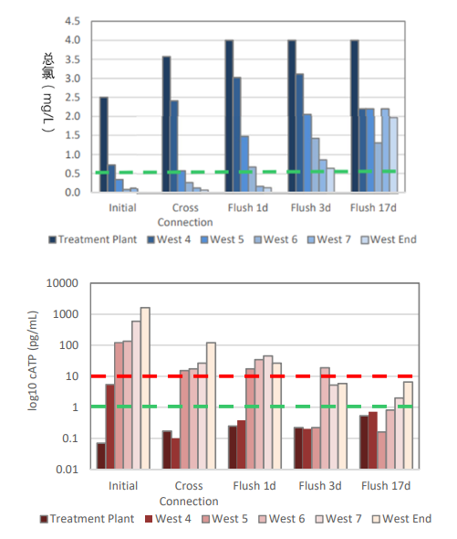 饮用水检测试剂包